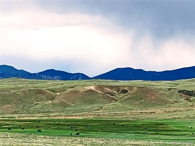 2667 Cahokia Road Hartsel, CO 80449