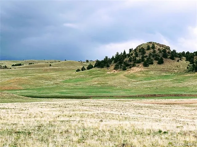 2667 Cahokia Road Hartsel, CO 80449
