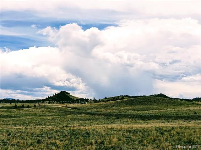 2667 Cahokia Road Hartsel, CO 80449