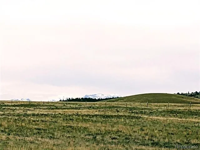 2667 Cahokia Road Hartsel, CO 80449