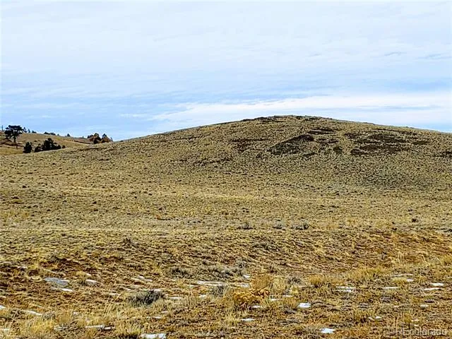 2667 Cahokia Road Hartsel, CO 80449