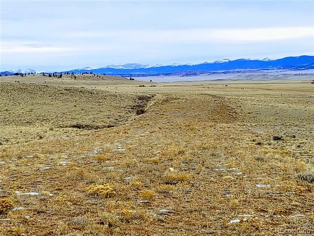 2667 Cahokia Road Hartsel, CO 80449