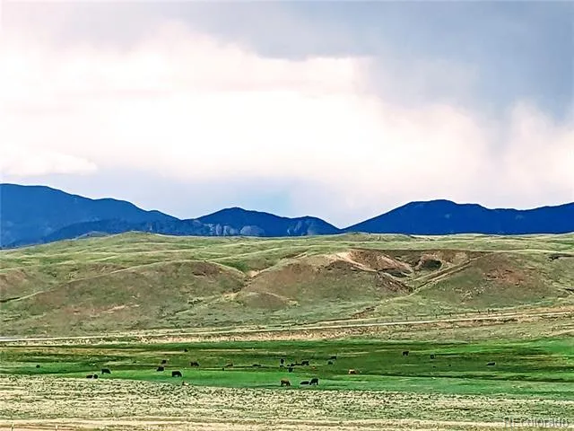 2667 Cahokia Road Hartsel, CO 80449