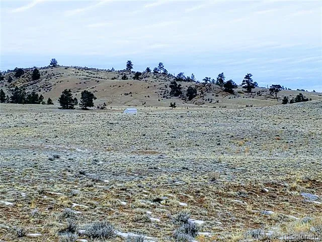 2667 Cahokia Road Hartsel, CO 80449