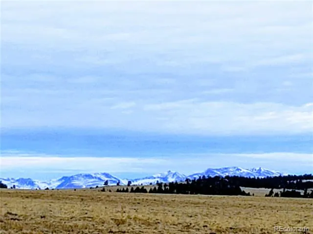 2667 Cahokia Road Hartsel, CO 80449