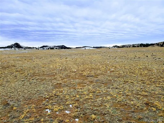 2667 Cahokia Road Hartsel, CO 80449