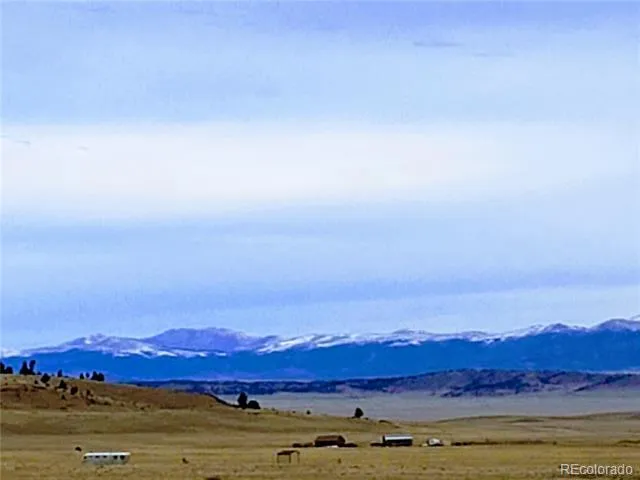 2667 Cahokia Road Hartsel, CO 80449