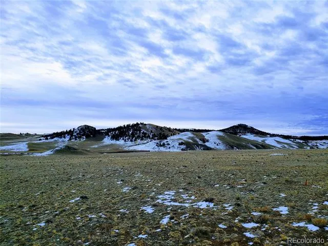 2667 Cahokia Road Hartsel, CO 80449
