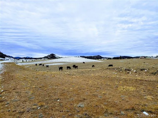 2667 Cahokia Road Hartsel, CO 80449