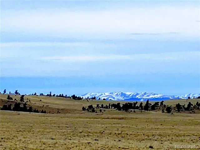 2667 Cahokia Road Hartsel, CO 80449