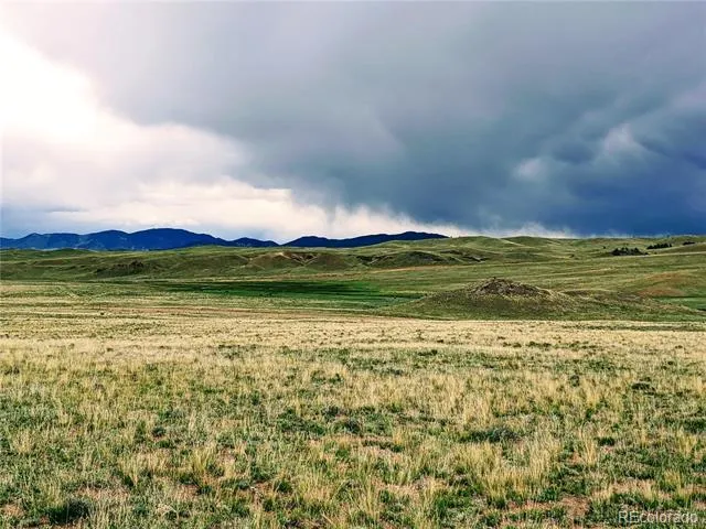 2667 Cahokia Road Hartsel, CO 80449