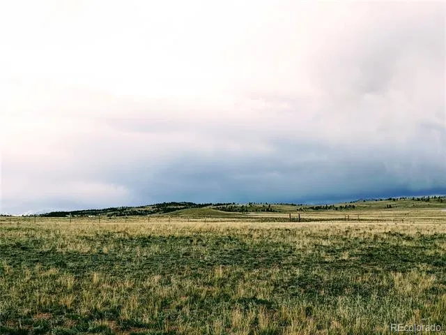 2667 Cahokia Road Hartsel, CO 80449