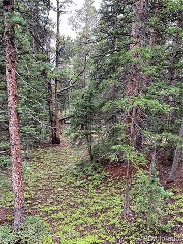 117 Miners Way Fairplay, CO 80440