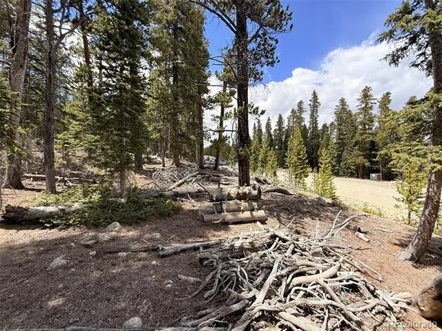 117 Miners Way Fairplay, CO 80440