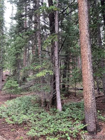 117 Miners Way Fairplay, CO 80440