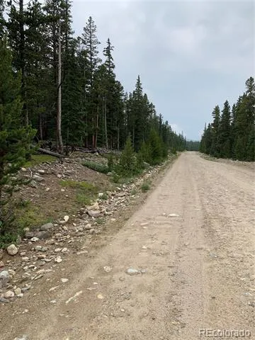117 Miners Way Fairplay, CO 80440