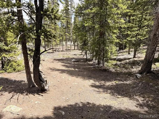 117 Miners Way Fairplay, CO 80440