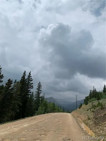 117 Miners Way Fairplay, CO 80440