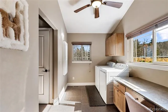 19 Worley Road Divide, CO 80814