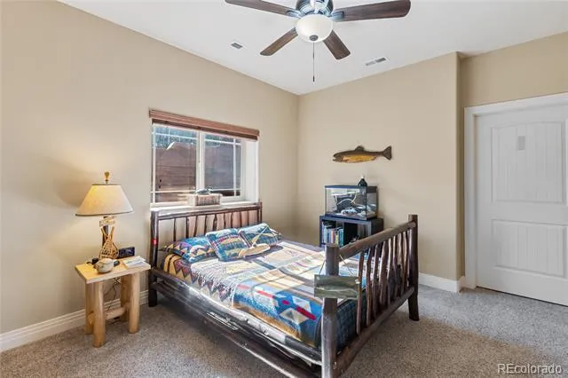 19 Worley Road Divide, CO 80814