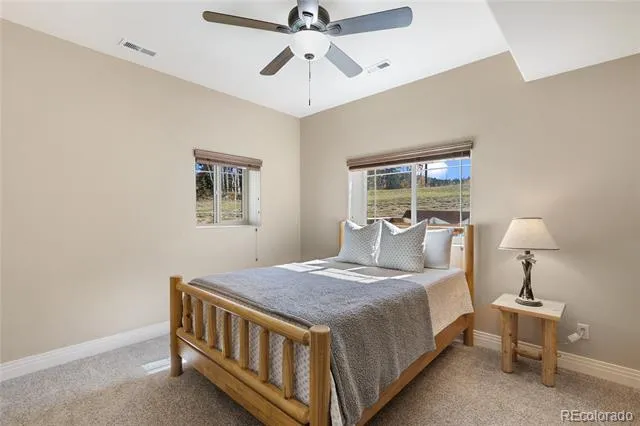 19 Worley Road Divide, CO 80814