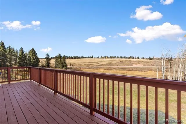19 Worley Road Divide, CO 80814