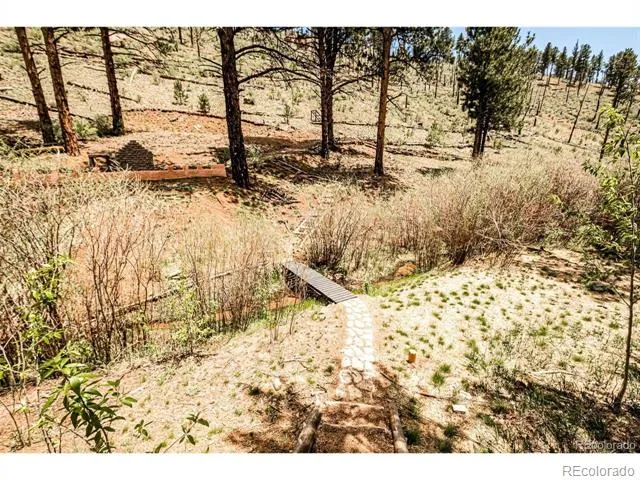 16320 Cochise Trail Pine, CO 80470