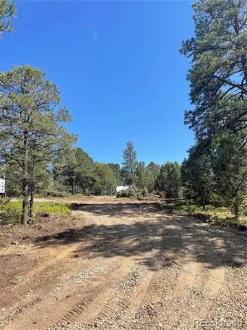329 Fishers Peak Parkway Trinidad, CO 81082