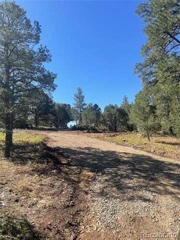 329 Fishers Peak Parkway Trinidad, CO 81082