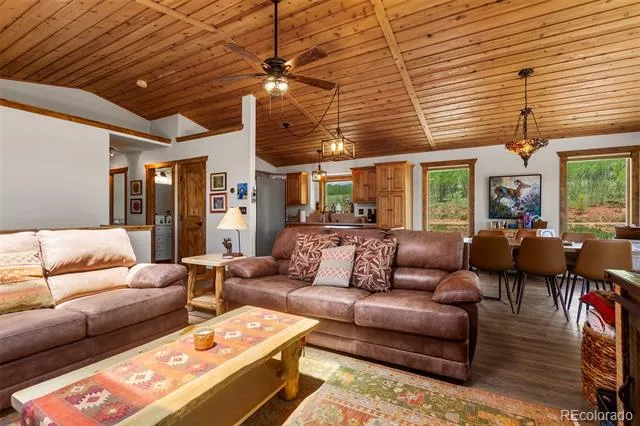 36 Iron Mountain Road Fairplay, CO 80440