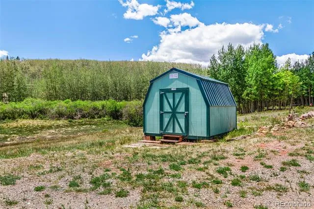 36 Iron Mountain Road Fairplay, CO 80440