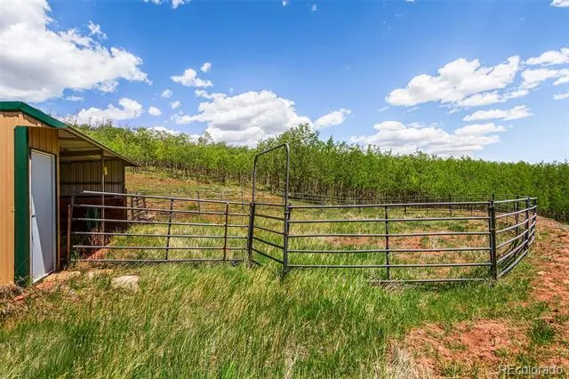 36 Iron Mountain Road Fairplay, CO 80440