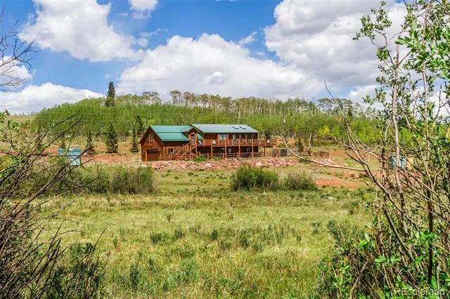 36 Iron Mountain Road Fairplay, CO 80440
