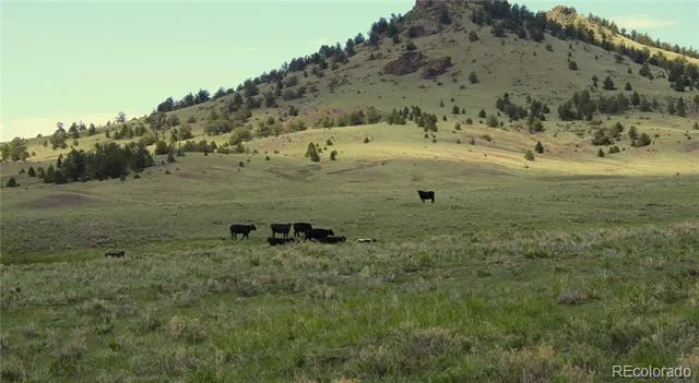 State Highway Guffey, CO 80820