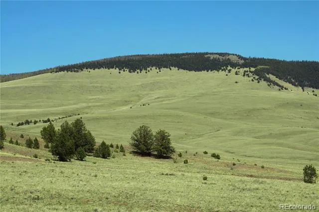State Highway Guffey, CO 80820