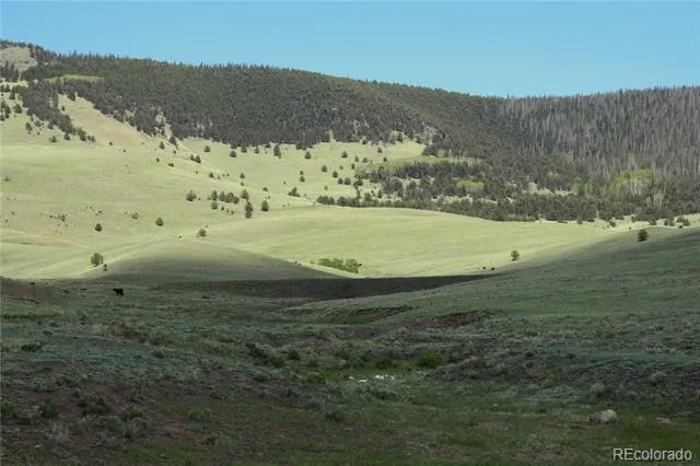 State Highway Guffey, CO 80820