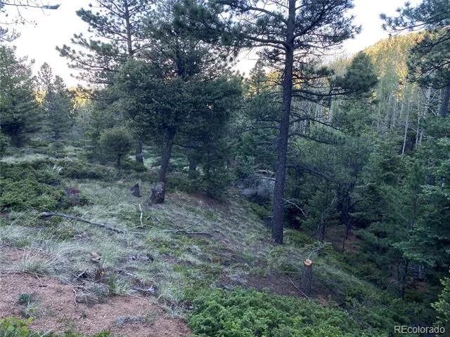 285 Forest Road Manitou Springs, CO 80829
