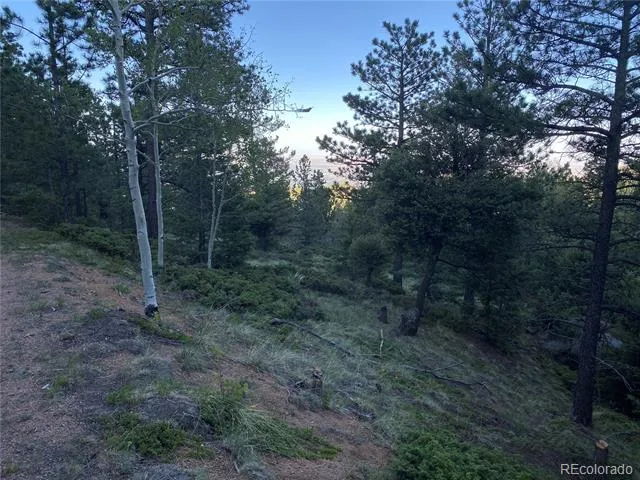 285 Forest Road Manitou Springs, CO 80829