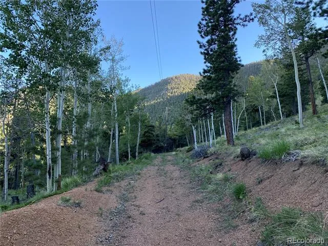 285 Forest Road Manitou Springs, CO 80829
