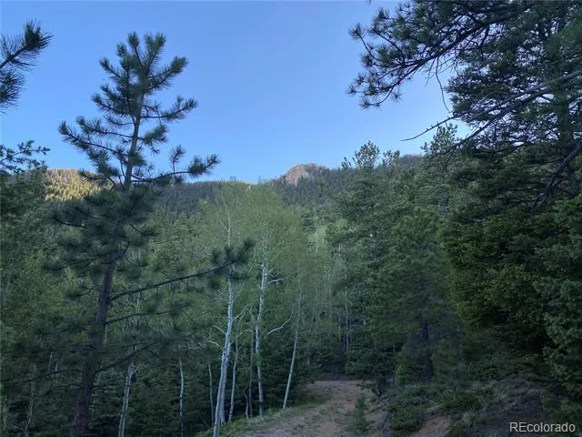 285 Forest Road Manitou Springs, CO 80829
