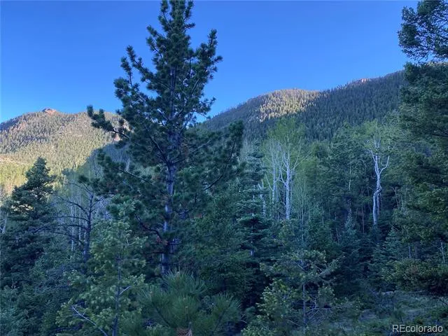 285 Forest Road Manitou Springs, CO 80829