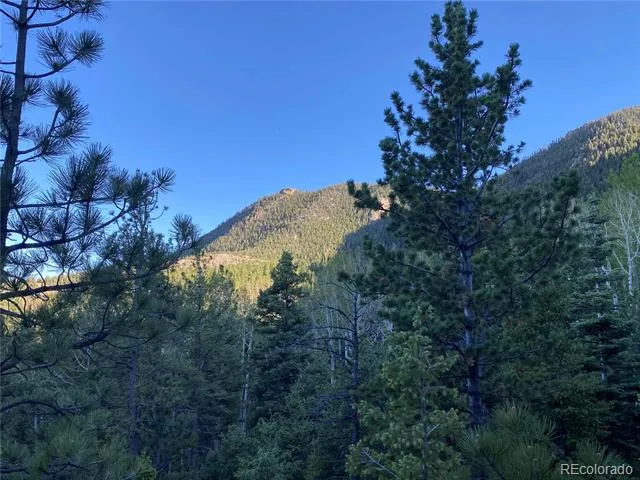 285 Forest Road Manitou Springs, CO 80829