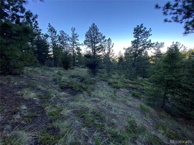 285 Forest Road Manitou Springs, CO 80829