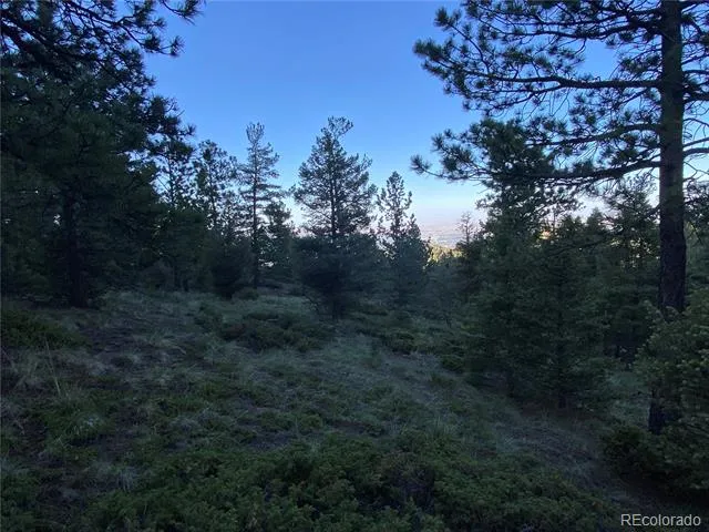 285 Forest Road Manitou Springs, CO 80829