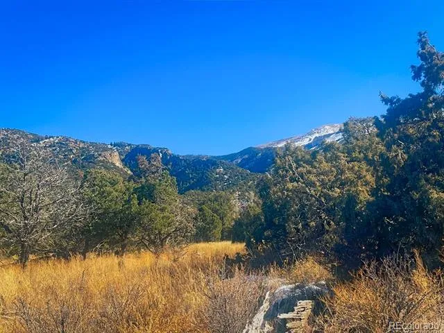 121 Cedar Ridge Road Mosca, CO 81146