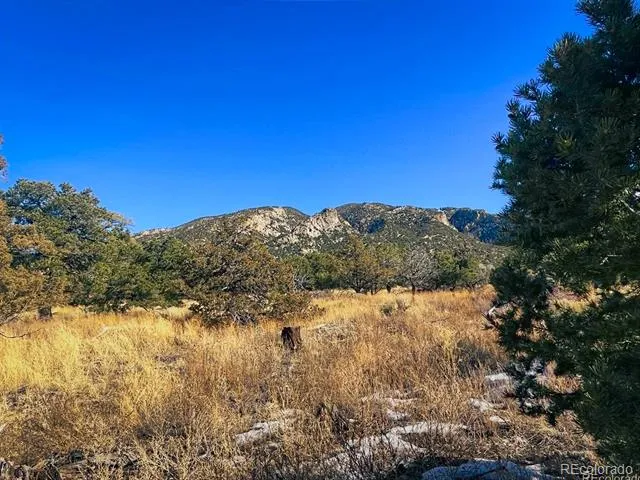 121 Cedar Ridge Road Mosca, CO 81146