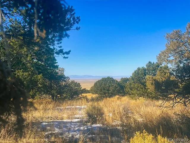 121 Cedar Ridge Road Mosca, CO 81146
