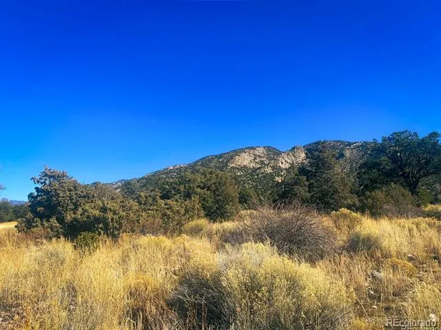 121 Cedar Ridge Road Mosca, CO 81146