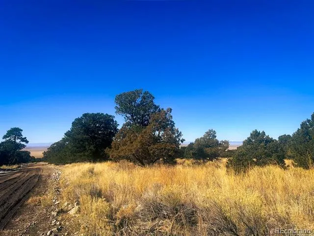 121 Cedar Ridge Road Mosca, CO 81146