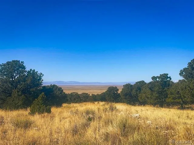 121 Cedar Ridge Road Mosca, CO 81146